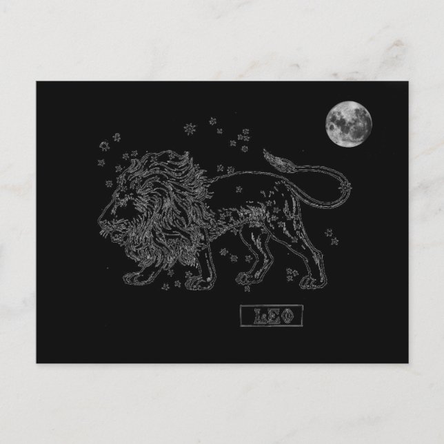 Cartão Postal Leo Postcard (Frente)