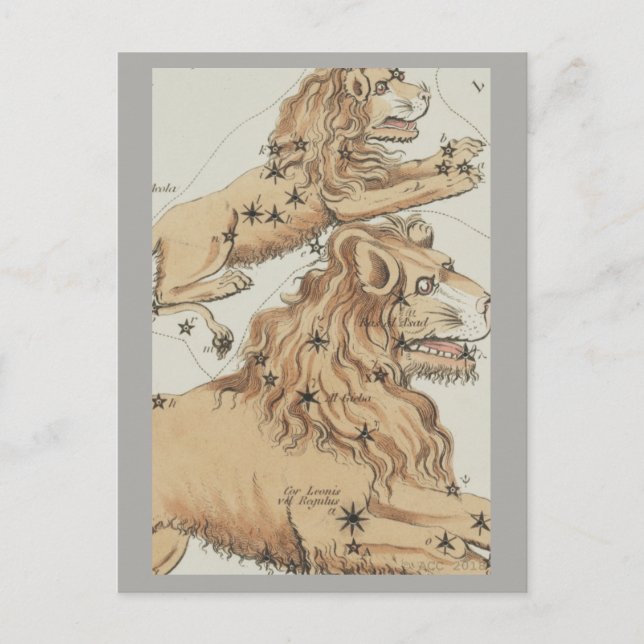 Cartão Postal Leo Zodiac Sinal (Frente)