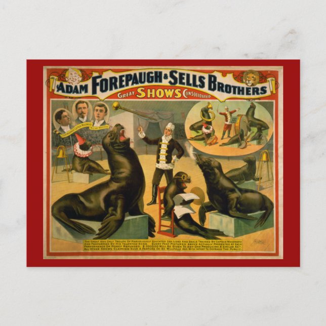 Cartão Postal Leões do mar e focas, Poster de circo (Frente)