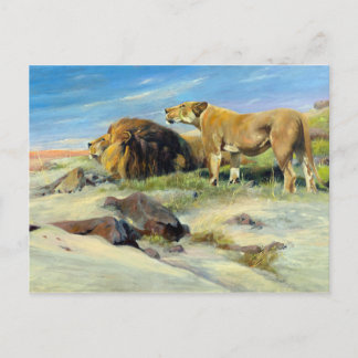 Cartão Postal Leões Majestosos Pintura Vintage da Natureza