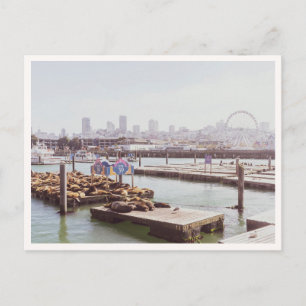 Cartão Postal Leões Marinhos e Roda Gigante do Pier 39 São Franc