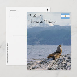 Cartão Postal Leões marinhos no canal do beagle - Argentina