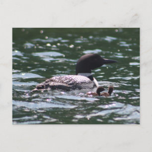 Cartão Postal Leon e Dois Bebês