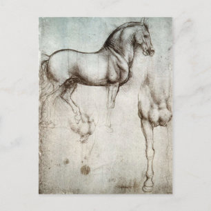 Cartão Postal Leonardo da Vinci - Estudo de um Cavalo