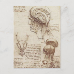 Cartão Postal Leonardo da Vinci - Fisiologia Cerebral
