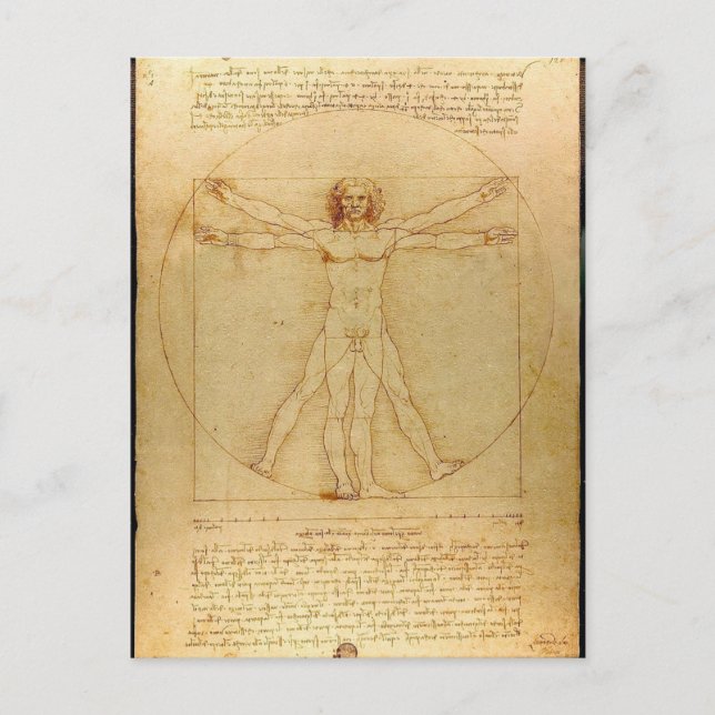 Cartão Postal Leonardo Da Vinci - Pintura Do Homem Vitruviano (Frente)