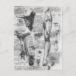 Cartão Postal Leonardo Vinci - Estudos anatômicos (laringe e per