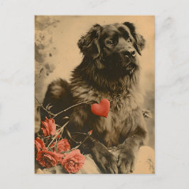 Cartão Postal Leonberger Dia de os namorados Vintage