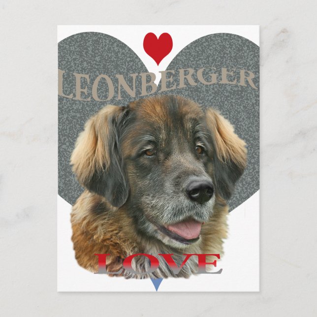 Cartão Postal Leonberger Love Gift Ideas (Frente)