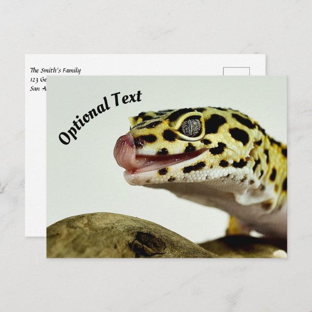 Cartão Postal Leopard Gecko (Frente/Verso)