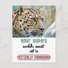 Cartão Postal Leopard Proteja a citação da vida selvagem