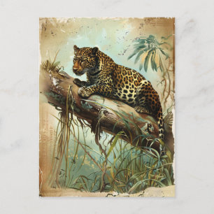Cartão Postal Leopard Vintage