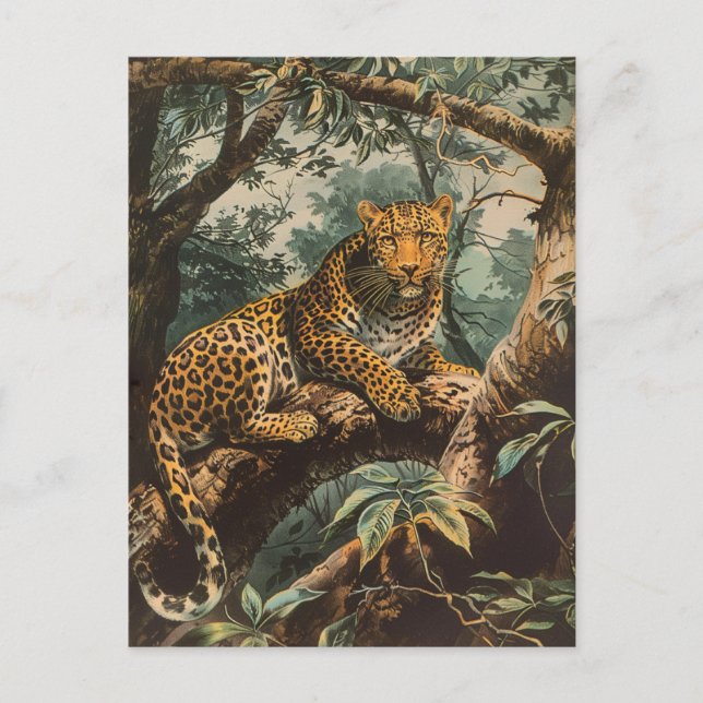 Cartão Postal Leopard Vintage  (Frente)