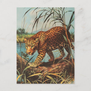 Cartão Postal Leopard Vintage
