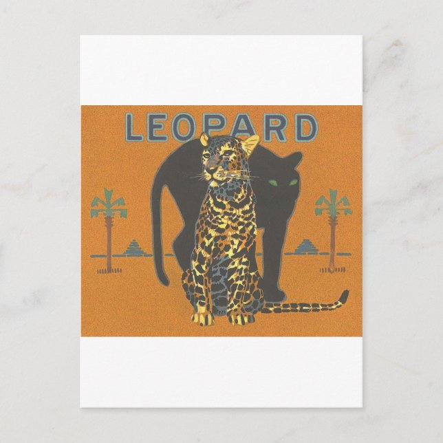 Cartão Postal Leopard Vintage (Frente)
