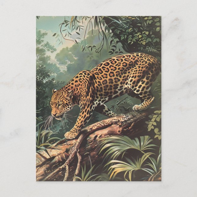 Cartão Postal Leopard Vintage (Frente)