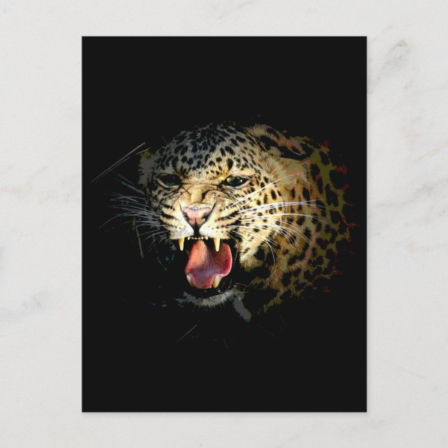 Cartão Postal Leopardo (Frente)