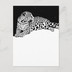 Cartão Postal Leopardo