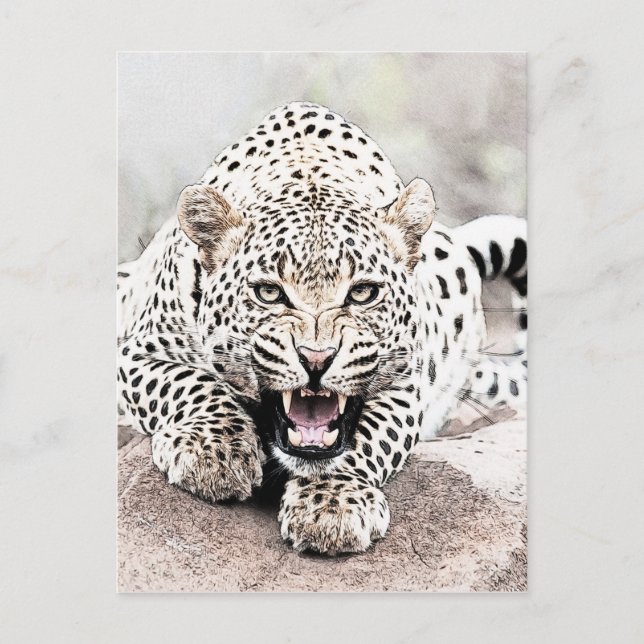 Cartão Postal Leopardo (Frente)