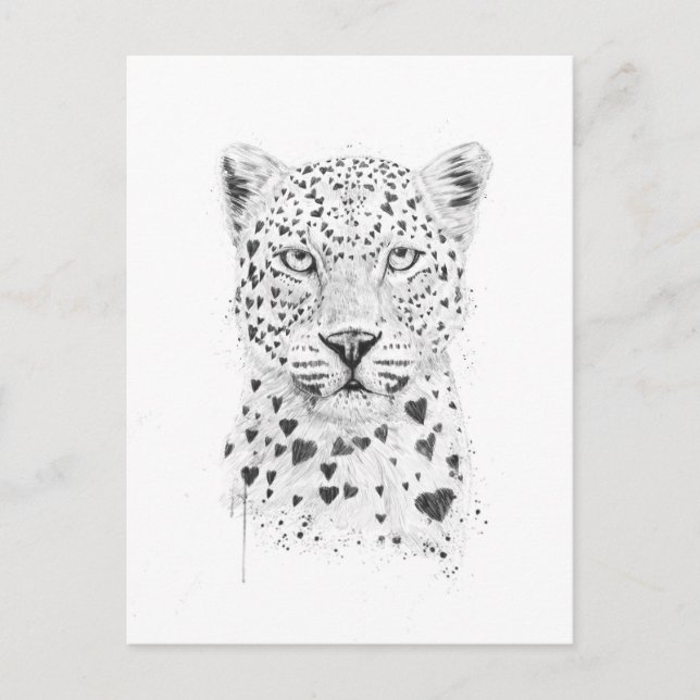 Cartão Postal Leopardo adorável (Frente)