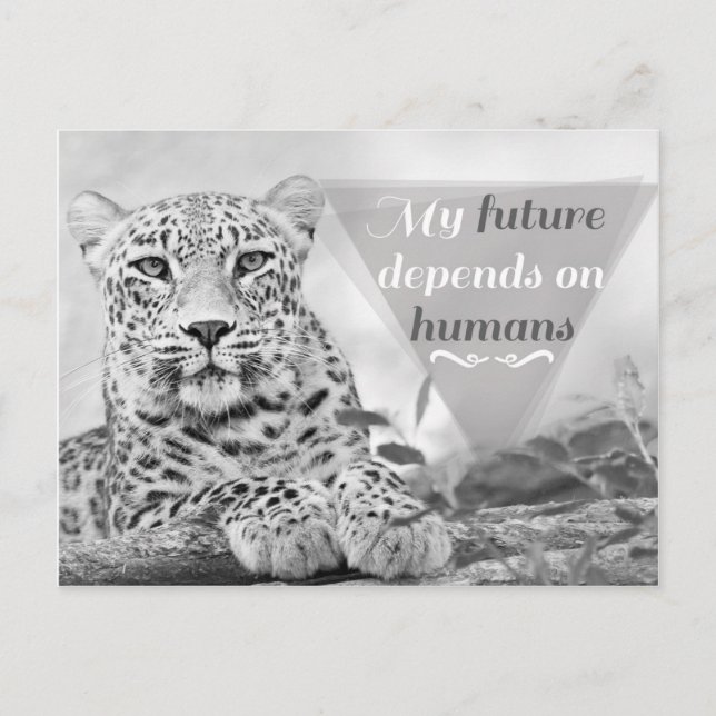 Cartão Postal Leopardo ameaçado protege a vida selvagem Cartão-p (Frente)