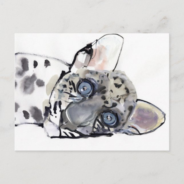 Cartão Postal Leopardo árabe 2008 3 (Frente)