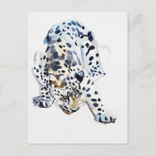 Cartão Postal Leopardo Árabe 2008 5