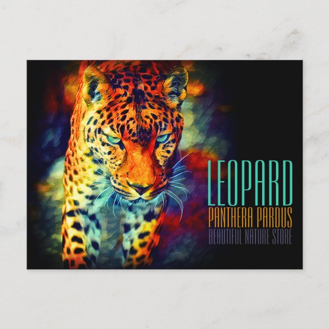 Cartão Postal Leopardo [Cartão postal] (Frente)