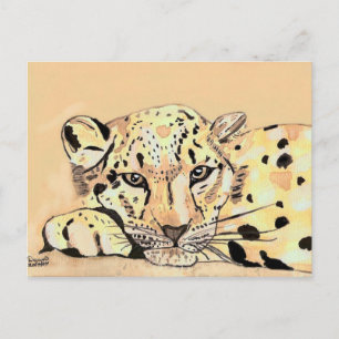 Cartão Postal leopardo-das-neves