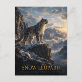 Cartão Postal Leopardo-das-neves Planalto Alpino ANIMAIS