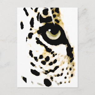 Cartão Postal Leopardo Eye