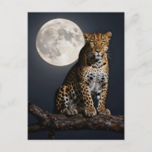 Leopardo Majestoso e Lua Cheia