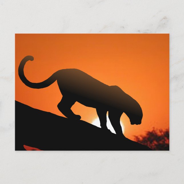 Cartão Postal Leopardo na árvore (Frente)