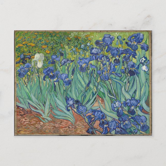 Cartão Postal Les Iris Irises Vincent Van Gogh (Frente)
