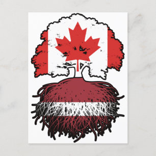 Cartão Postal Letão canadiano canadiano Bandeira de Raízes de Ár