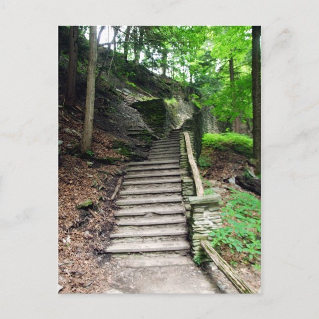 Cartão Postal Letchworth State Park Stone Stairs To Waterfall (Frente)