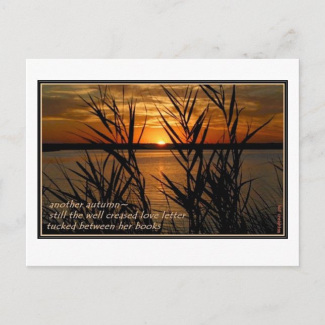 Cartão Postal Letra de amor bem gordurosa (Frente)