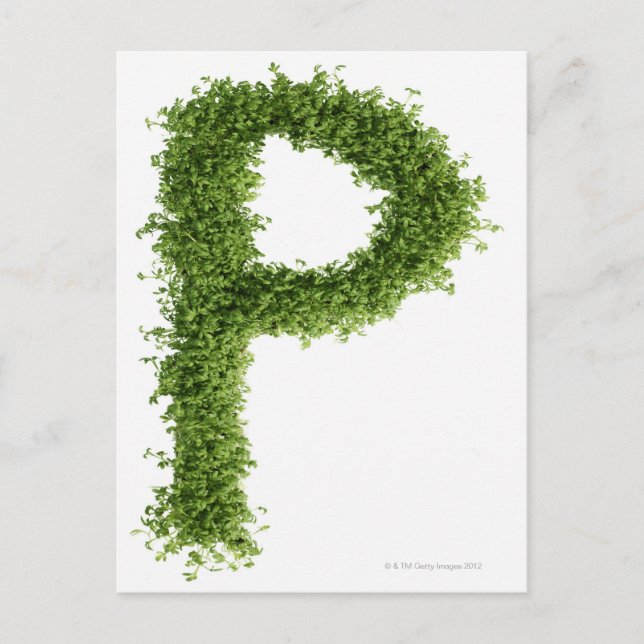 Cartão Postal Letra 'P' em grese sobre fundo branco, (Frente)