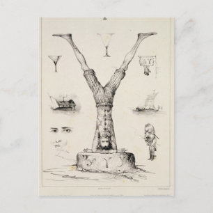 Cartão Postal Letra Y de um primata alfabético
