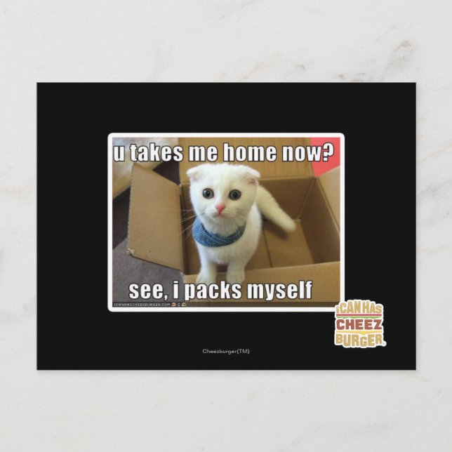 Cartão Postal Leva-me para casa agora? (Frente)