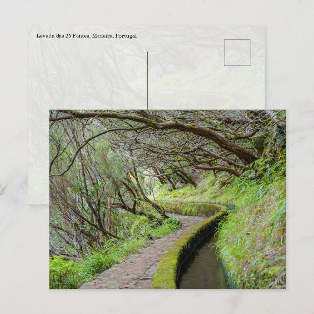 Cartão Postal Levada das 25 Fontes Madeira Postcard (Frente/Verso)