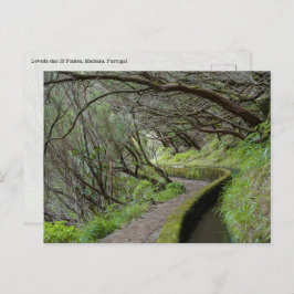 Cartão Postal Levada das 25 Fontes Madeira Postcard
