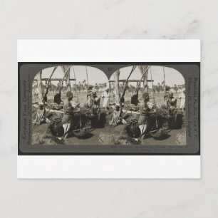 Cartão Postal Levantando água do Nilo no Egito por volta de 192