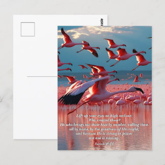 Cartão Postal Levante Os Olhos No Alto, Deus E Criação Verso