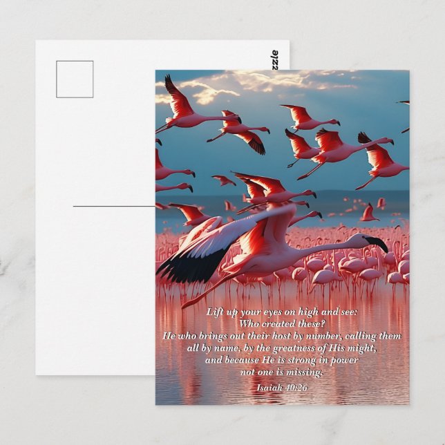 Cartão Postal Levante Os Olhos No Alto, Deus E Criação Verso (Frente/Verso)