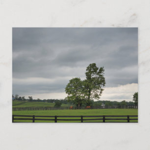 Cartão Postal Lexington, Kentucky