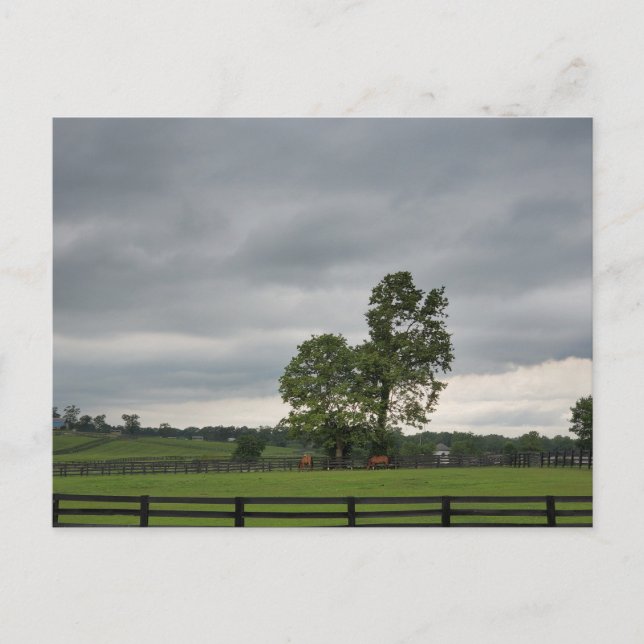 Cartão Postal Lexington, Kentucky (Frente)