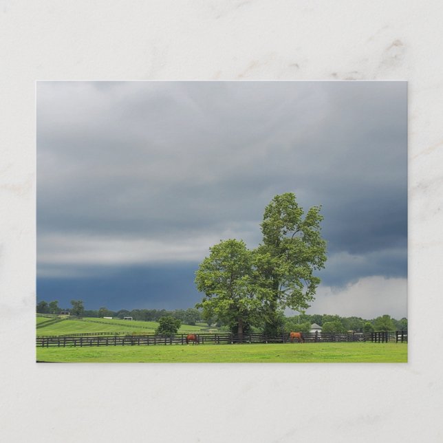 Cartão Postal Lexington, Kentucky (Frente)