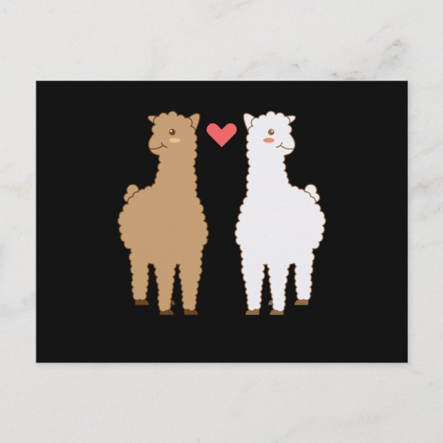 Cartão Postal Lhama Alpaca Lhamas Alpacas Doce Desenho de Animal (Frente)