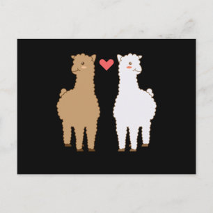Cartão Postal Lhama Alpaca Lhamas Alpacas Doce Design de Animal